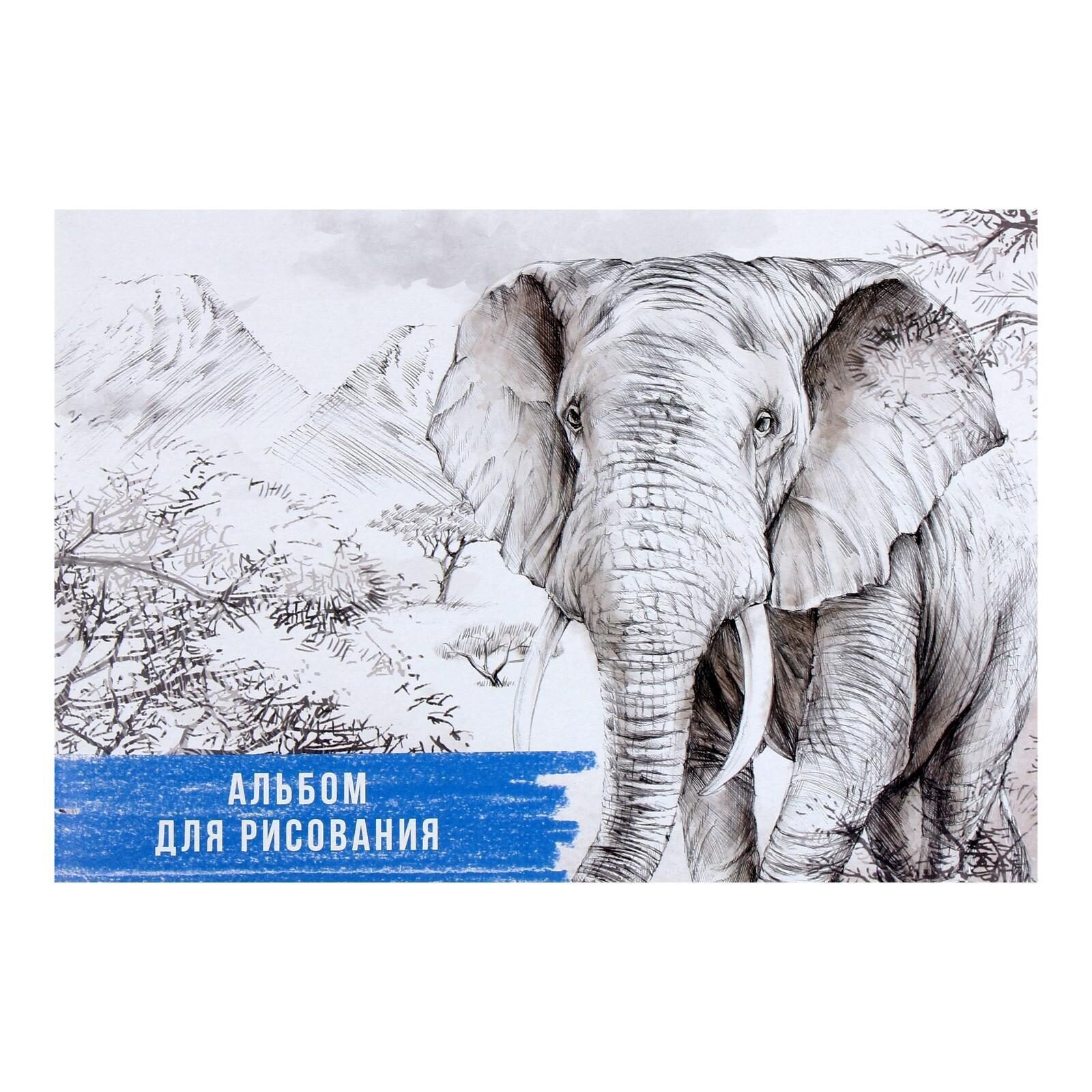 Альбом для рисования А4, 32 листа на скрепке "Слон", обложка мелованный картон, блок офсет