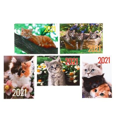 Карманный календарь "Коты - 2" 2021 год, 7 х 10 см, МИКС