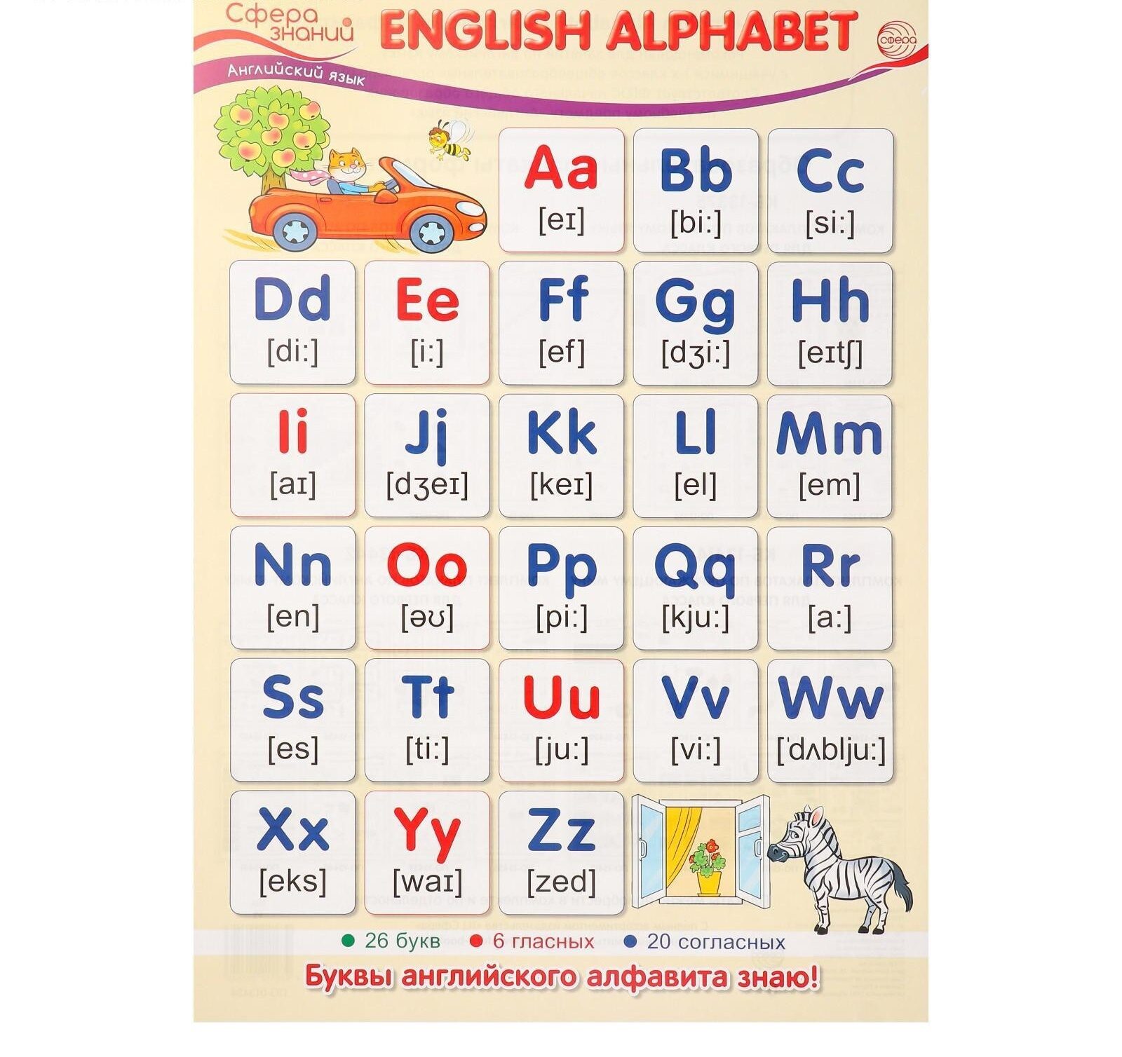 ПЛакат "English Alphabet" А3
